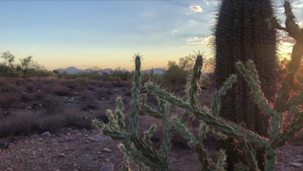 8 Best Small Towns in Arizona — From Hiking Destinations to Cultural Hot Spots