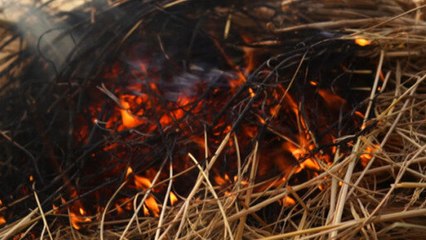 India: Air pollution from annual 'stubble burning'