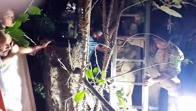 Rescuer Saves Dog Stuck in Well for Four Days