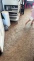 Toddler Finds a Shortcut to Cleaning Room