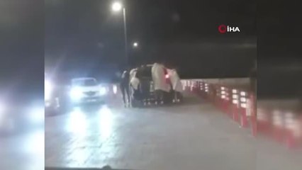 Hayalet patencilerin tehlikeli yolculuğu durmak bilmiyor
