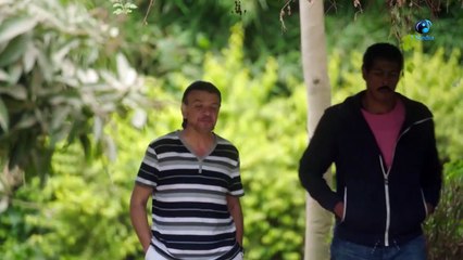 Episode 23 - Hawary Bucharest Series _ الحلقة الثالثة و العشرون - مسلسل حوارى بوخارست