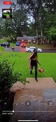 Doorbell Camera Catches Fender Bender