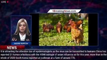 Bird flu spreads in Europe and Asia, putting poultry industry on alert - 1breakingnews.com