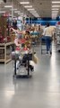 People React to Adorable Doggy Riding Shopping Kart With Owner at Store During Christmas Shopping