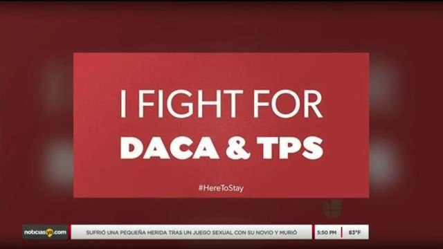 Campañas de TPS y DACA unen fuerzas para renovación de programas