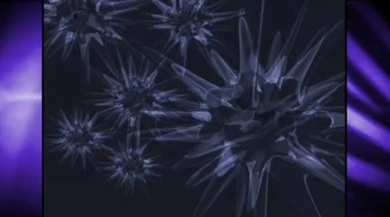 Especial Reventón Super Estrella 2005 Parte 2