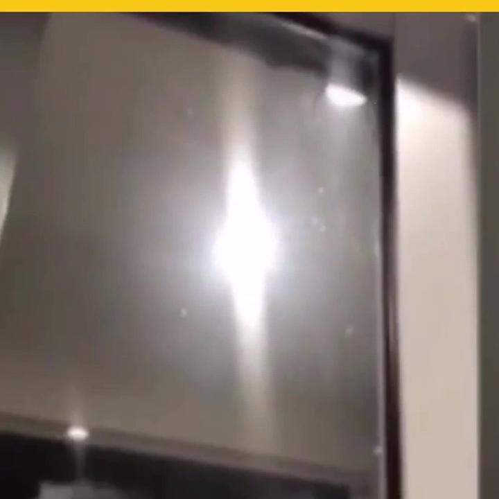 Araña Gigante