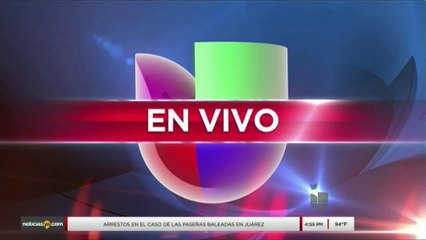 Identifican a niño que murió tras ser atacado por mascotas