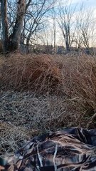 Duck Hunt Calls Draw Buck Instead