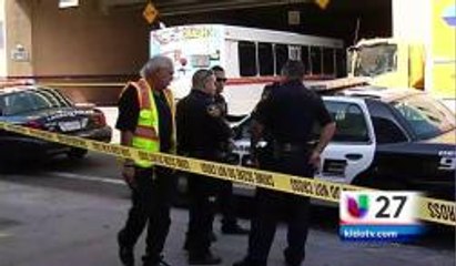 Atropella Autobus A Mujer