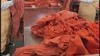 Congresistas envían carta a I.C.E.