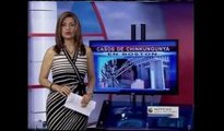 Boston: confirman casos de Chikungunya