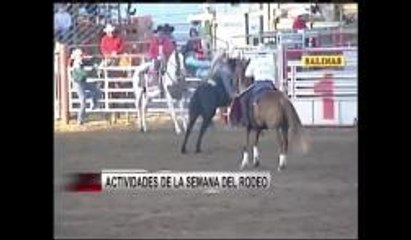 Actividades del Rodeo