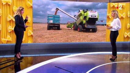 Consommation : les hausses significatives dans les supermarchés se poursuivront en 2022