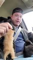 Five Kittens Climb All Over Man That Rescued Them