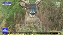 [이슈톡] 미국 연구팀 