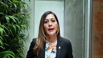 Diputada María Inés Solís