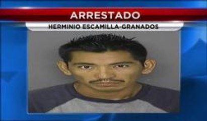 Detienen a latino en operación para atrapar depredadores sexuales en Maryland