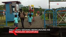 Mantap! Ada Flying Fox Terpanjang di Lereng Argopuro Probolinggo