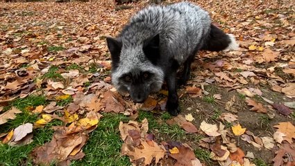 Fox helps predict winter weather in New Jersey