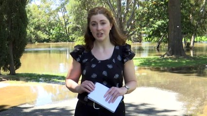 Evacuation order issued for Forbes in NSW as floodwaters rise