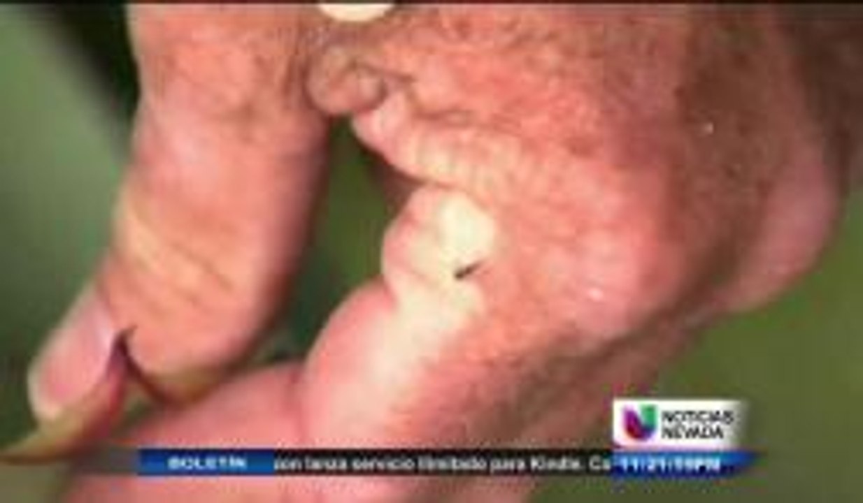 Nuevo Virus