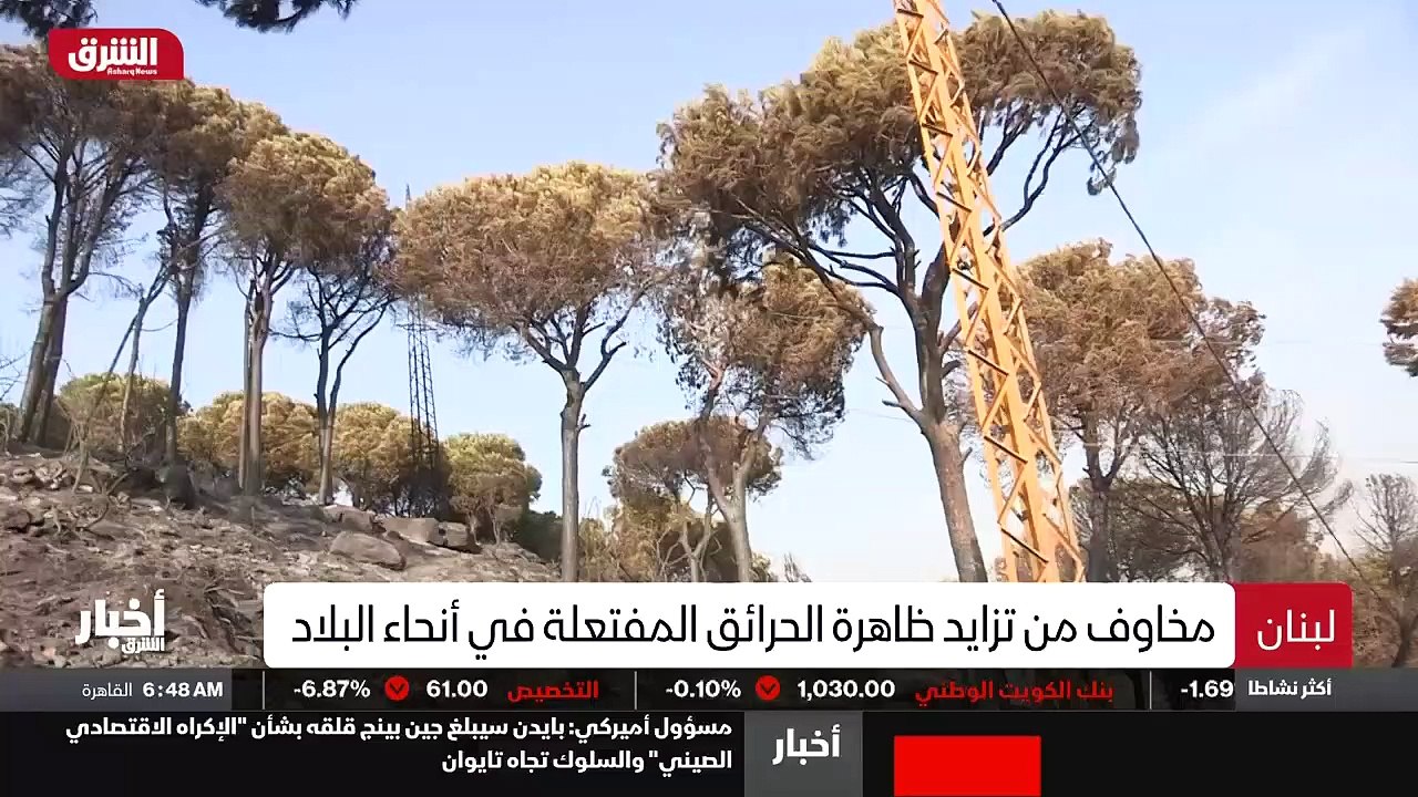 ...هذه الغابة المعروفة في هذه البلدة . هذا ...