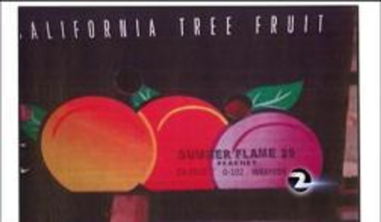 Fruit Recall
