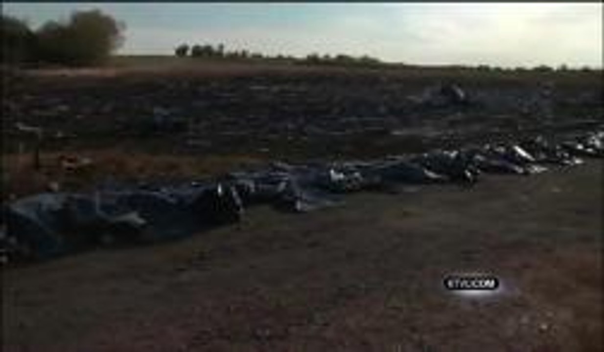 New Developments in Malaysia Air Disaster