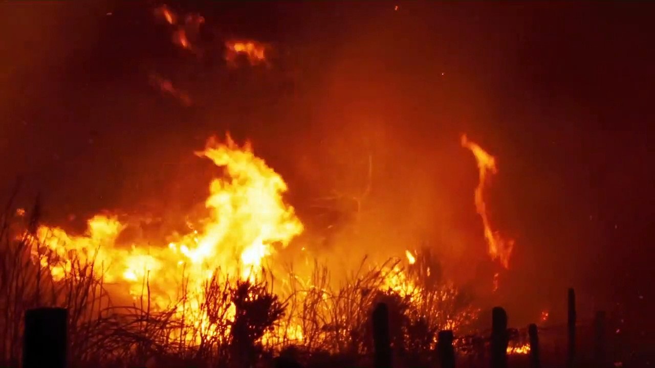 Fire Will Come | Trailer 1
