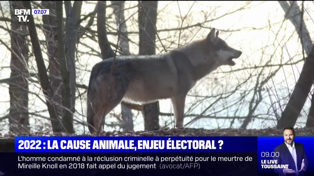 2430 espèces risquent de disparaitre d’ici 20 à 30 ans en France