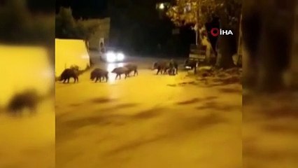 Yer: Bursa... Görür görmez telefona sarıldı