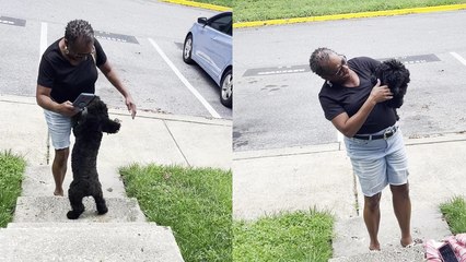 'Adorable puppy's excitement knows no bounds as she reunites with her favorite hooman after 3 months'