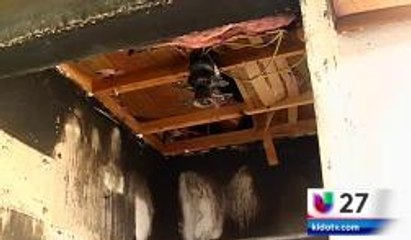 Incendio En 2200 De San Francisco
