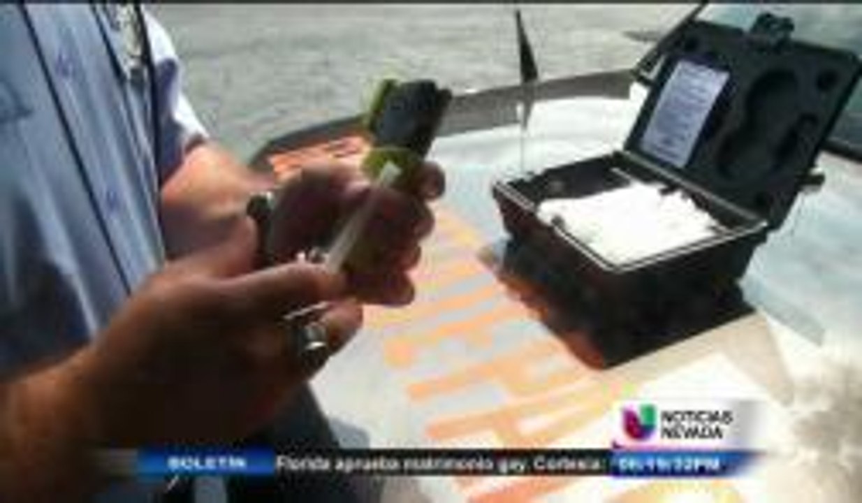 Secuelas de conducir tras ingerir alcohol