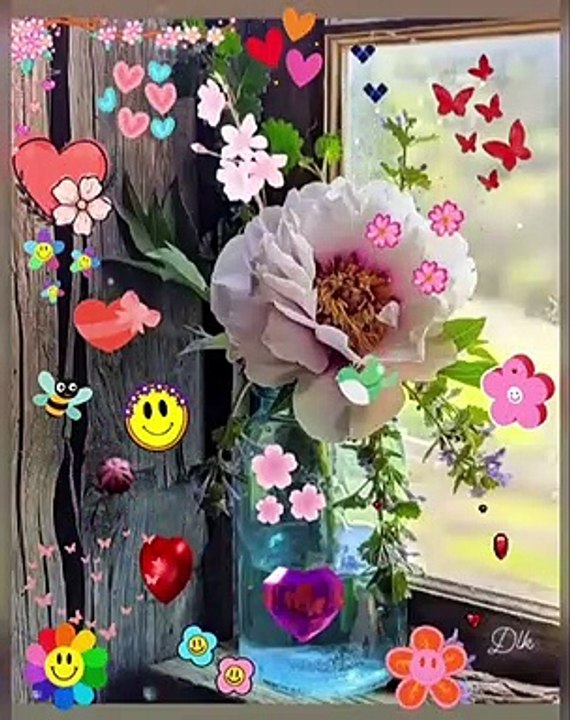 Happy new week photos and videos