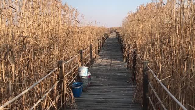 Son dakika gündem: Sultan Sazlığı Milli Parkı'nda çıkan yangın söndürüldü