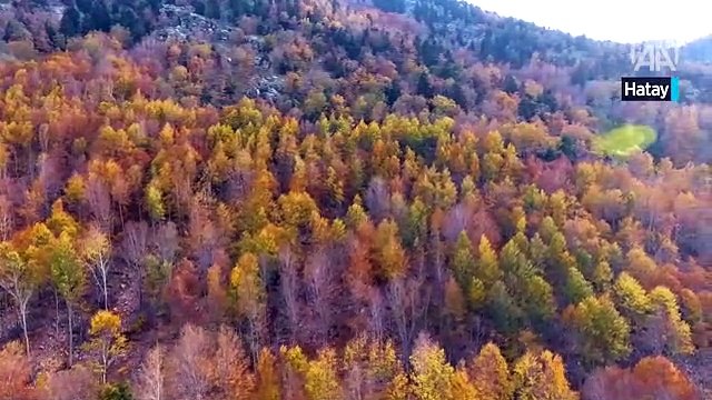 Amanos Dağları'ndaki sonbahar güzelliği drone görüntülerine yansıdı