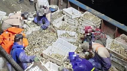 해경, 촘촘한 그물로 불법 조업한 중국어선 나포 / YTN
