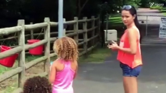 Compilation de vidéos éditées en même temps pour un rendu amusant