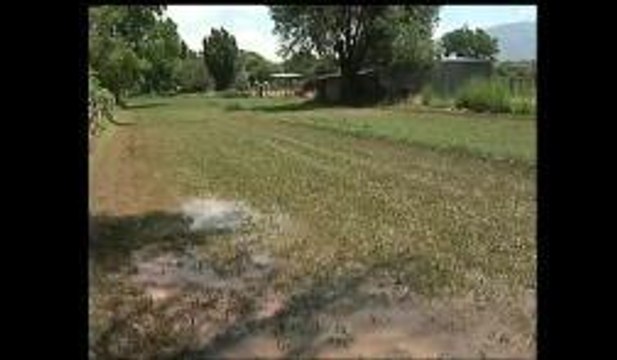 Inundaciones En Algodones, NM debido a las Lluvias
