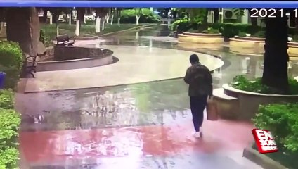 En China, un hombre cae en el estanque de un parque mientras camina con los ojos pegados a su teléfono