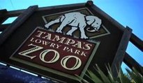 Tampa, una de las ciudades mas privilegiadas de la Florida