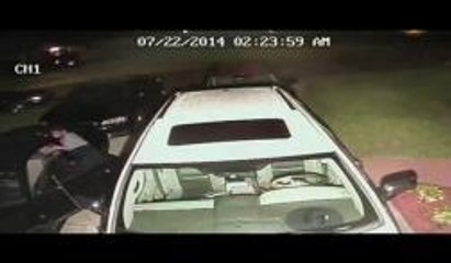 Investigan una ola de hurtos en St. Petersburg