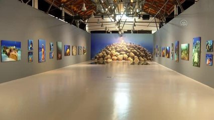 "Mavi Miras"ın 4 bin yıllık izleri CerModern'de sürülecek