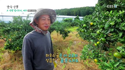 한국기행 - Korea travel_그 인생 탐나도다, 제주 2부-남은 30년 여기서 살자_#002