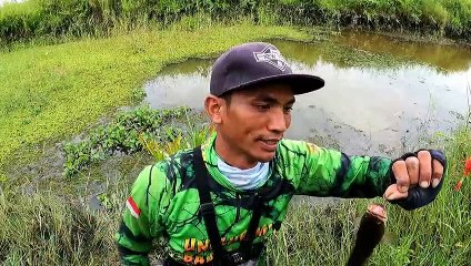 Mancing di rawa air surut