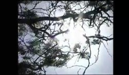 Advierten sobre los altos índices de calor