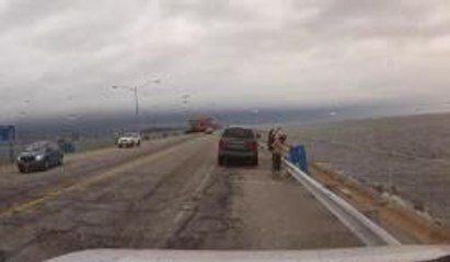 Encuentran bacteria carnivora en el Chesapeake Bay